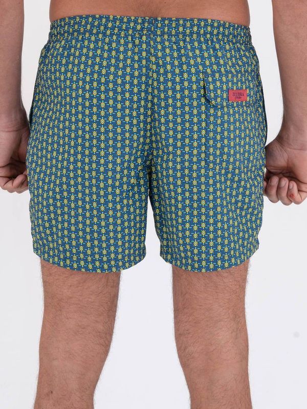 3. Blue turtle pattern nylon short swimsuit Blue ZEYBRA aub560