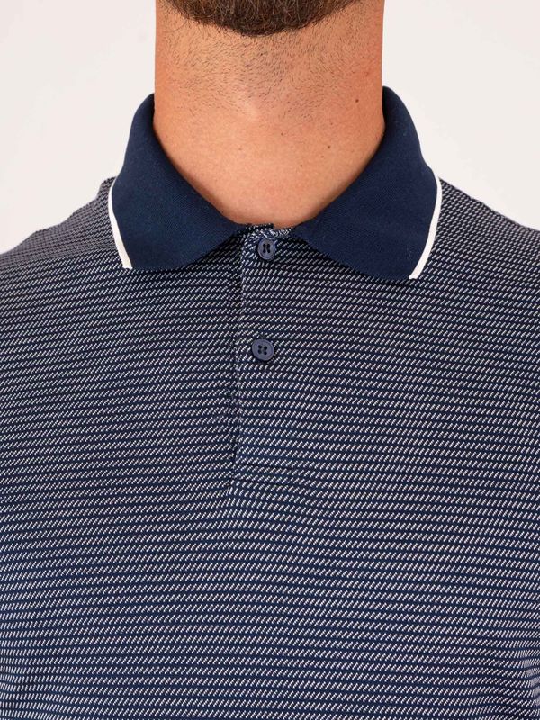 4. Paul&Shark Men's Cotton Polo Shirt with Micro Stripe Pattern and Contrasting Collar Blue PAUL & SHARK 26411241