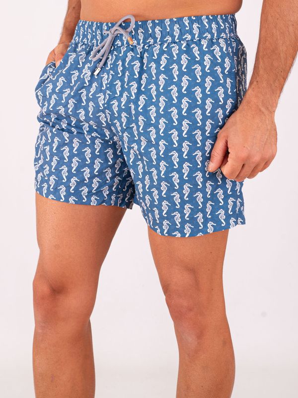 2. Zeybra Men's Swimsuit in Technical Fabric with Seahorse Print Blue ZEYBRA aub643