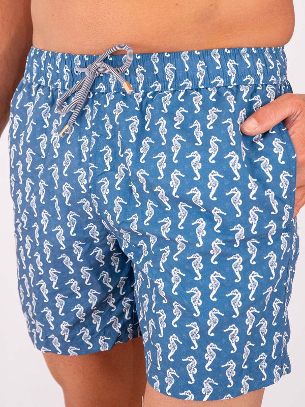 4. Zeybra Men's Swimsuit in Technical Fabric with Seahorse Print Blue ZEYBRA aub643