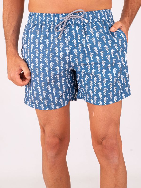1. Zeybra Men's Swimsuit in Technical Fabric with Seahorse Print Blue ZEYBRA aub643